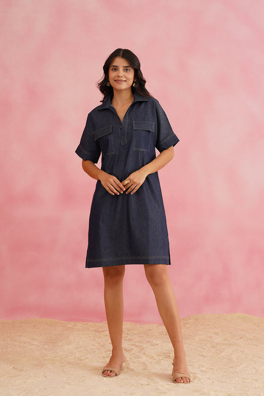 Trendy Blue Denim Everyday Dress